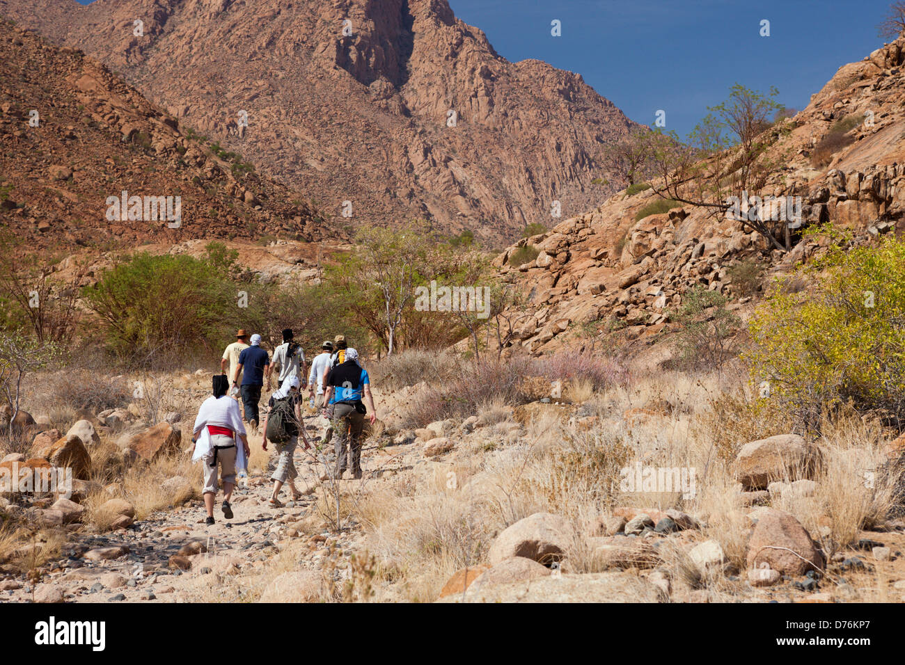I turisti che visitano Tsisab Ravine Valley, Brandberg, Erongo, Namibia Foto Stock