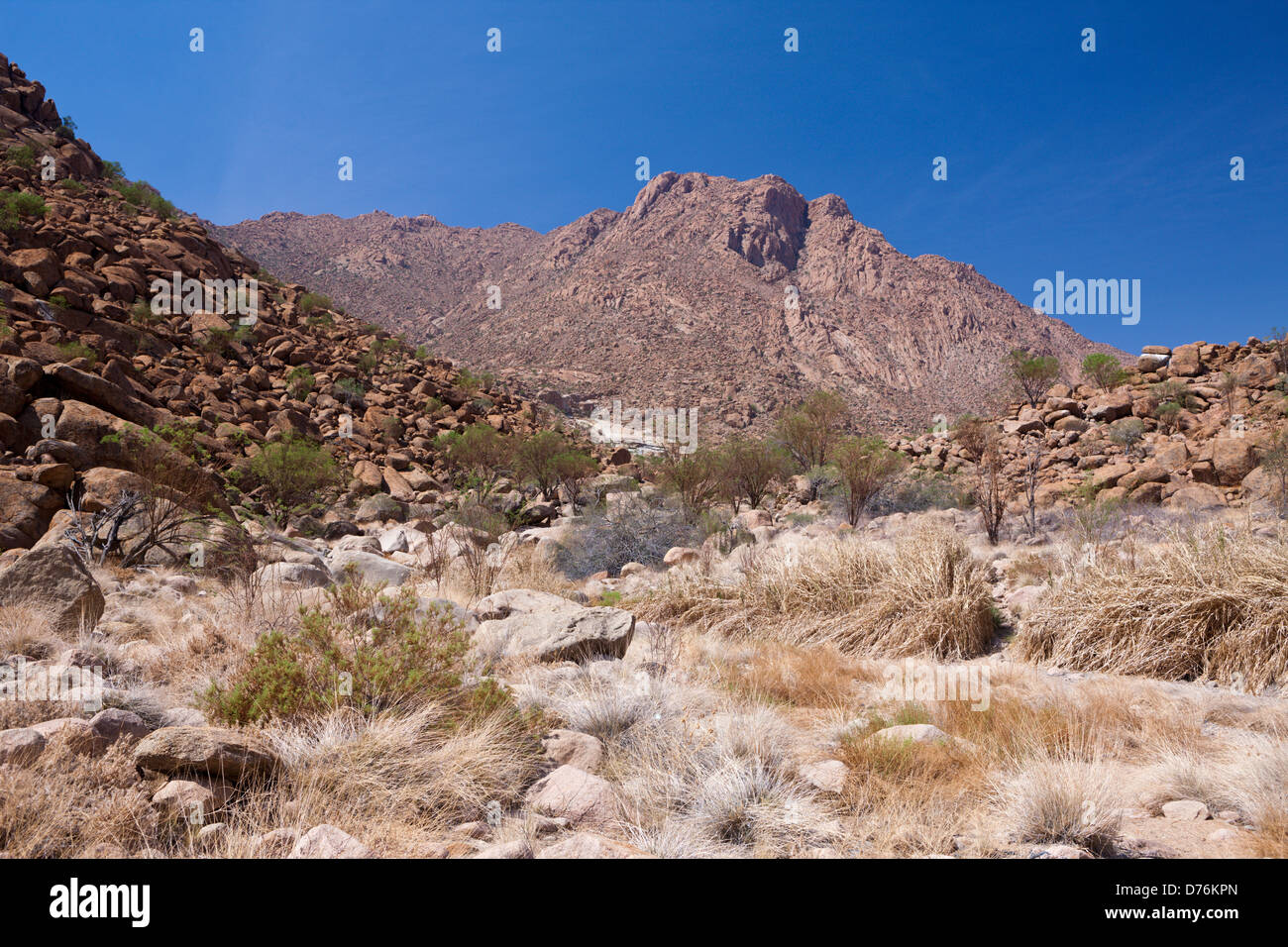 Impressioni di Tsisab Ravine Valley, Brandberg, Erongo, Namibia Foto Stock