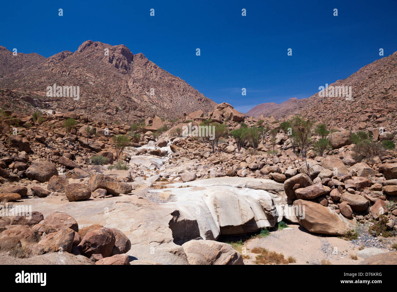 Impressioni di Tsisab Ravine Valley, Brandberg, Erongo, Namibia Foto Stock