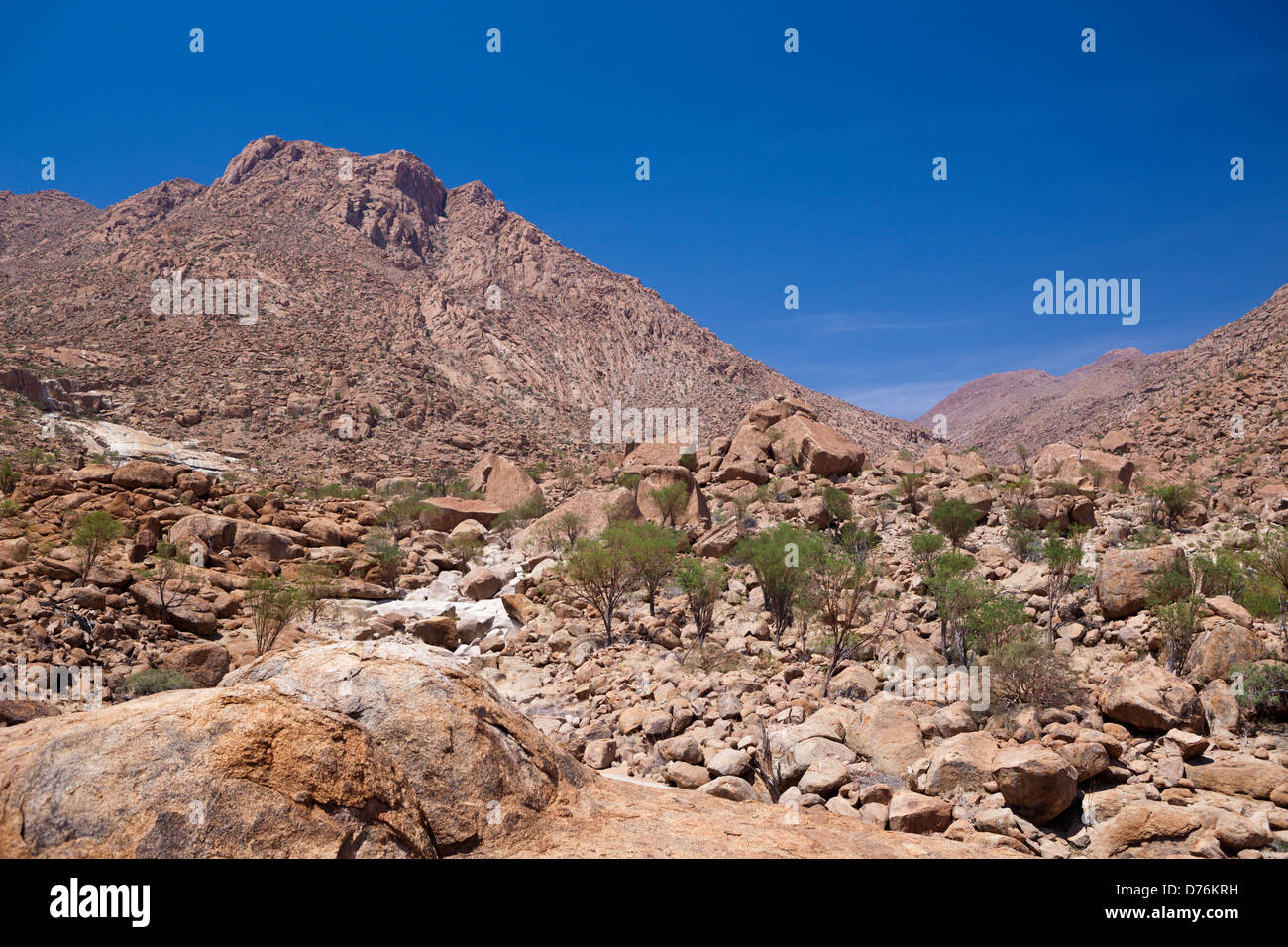 Impressioni di Tsisab Ravine Valley, Brandberg, Erongo, Namibia Foto Stock