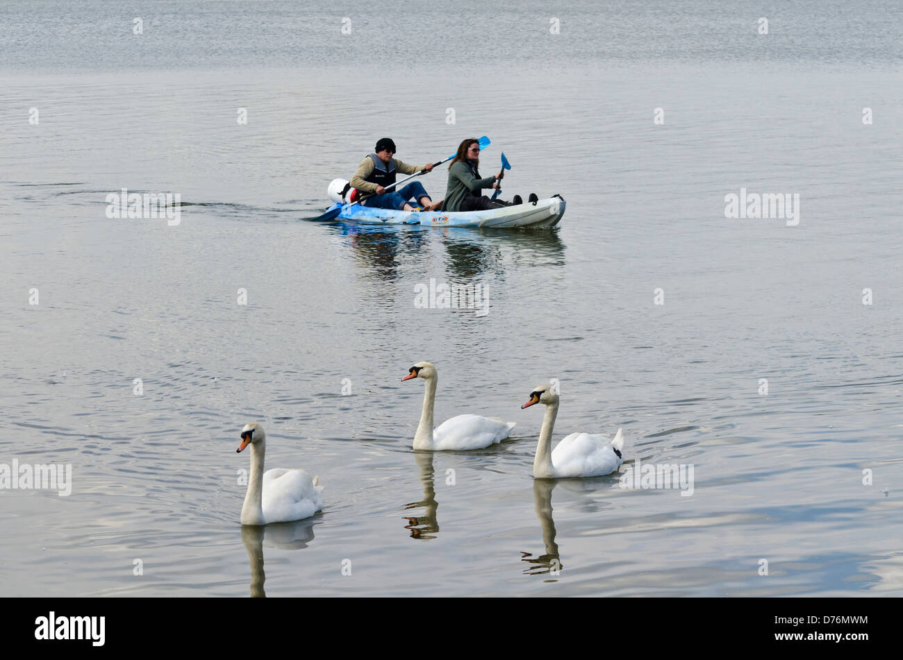 Canoa ultimi tre cigni Foto Stock