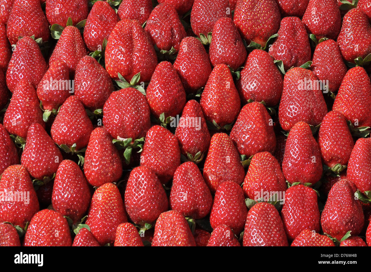 Colorate fragole rosso Foto Stock