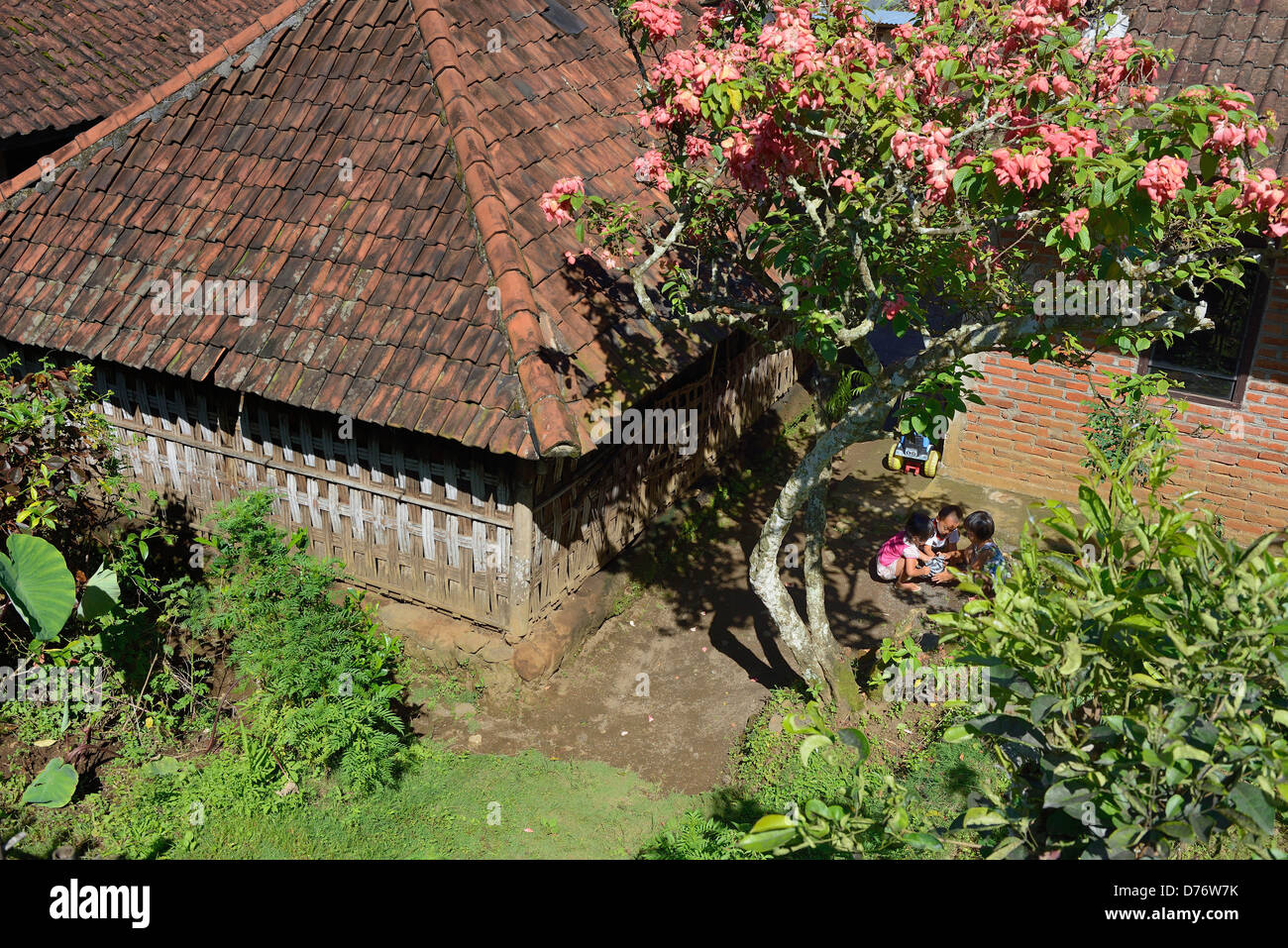Indonesia Bali House e il suo giardino nel villaggio di Pedawa nella regione Nord Foto Stock