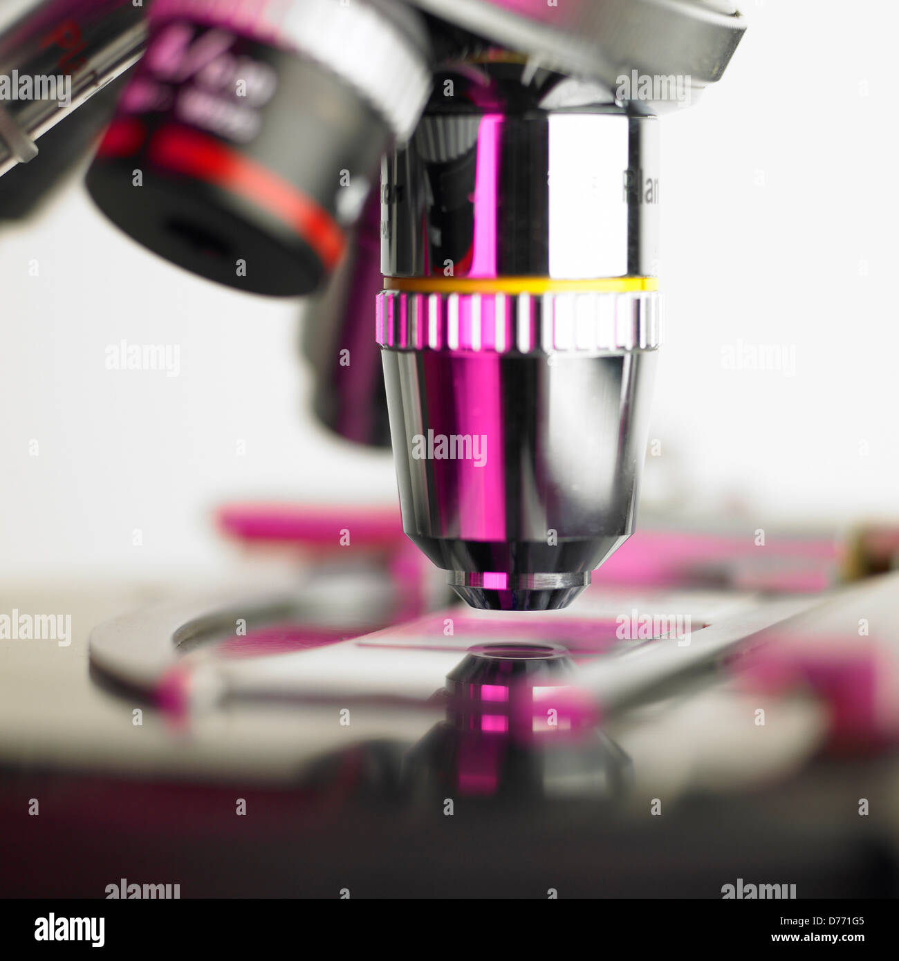 Obiettivo Close-up torretta sul microscopio da ricerca Lente obiettiva Foto Stock