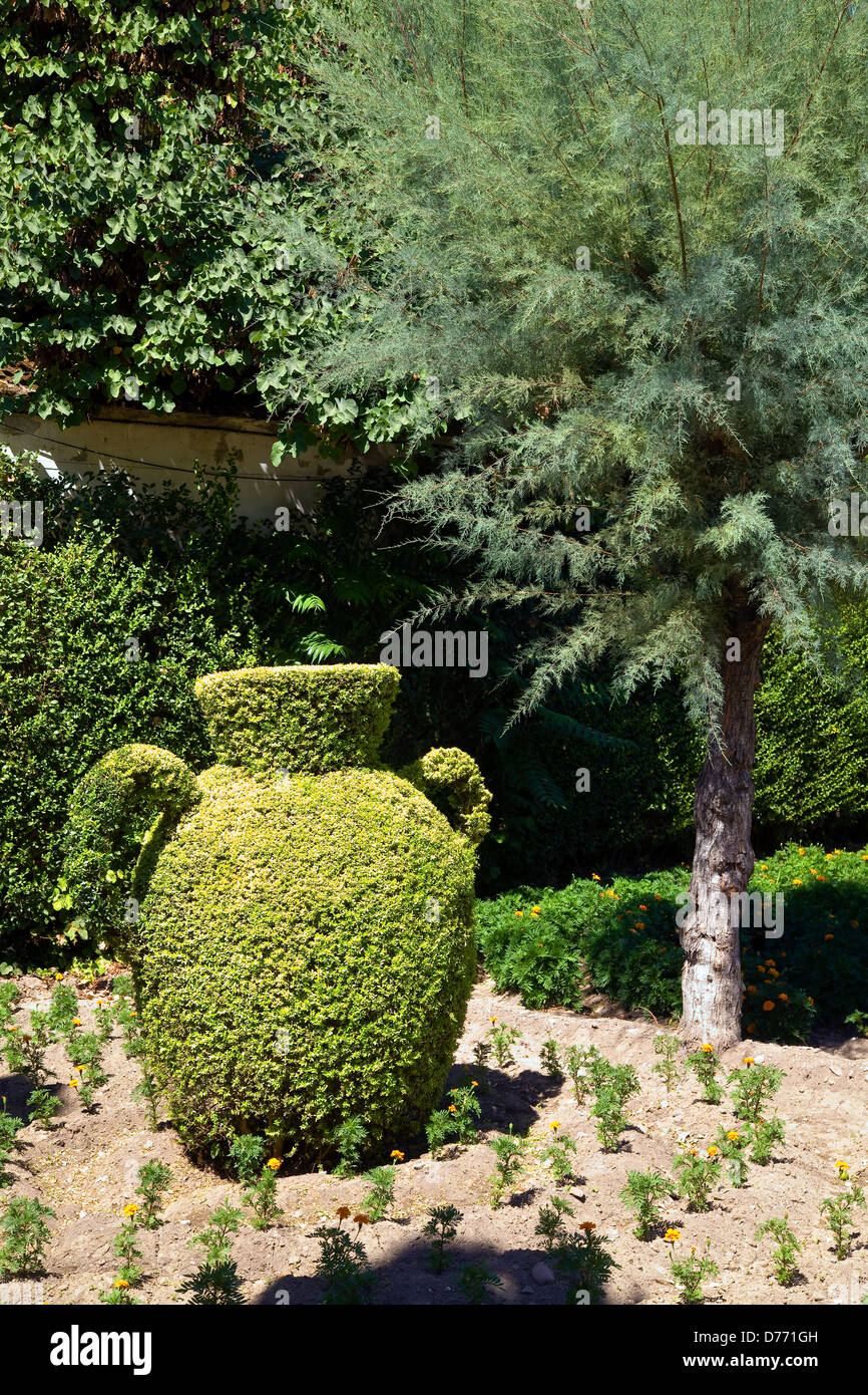 Topiaria da nel giardino dell'Alcazar dei Re Cristiani a Cordoba, Andalusia, Spagna Foto Stock