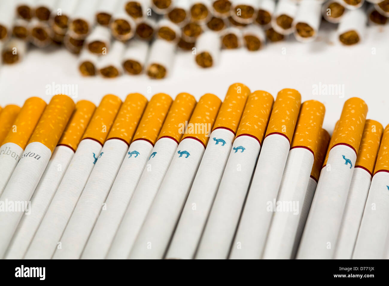 Varie sigarette allentati. Marlboro, Pall Mall, Winston, cammello, Parlamento, Newport, spirito americano. Foto Stock