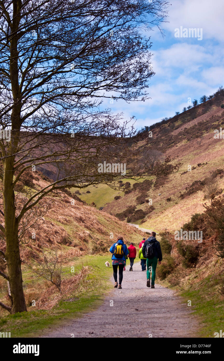 Walkers nuovo pool di cardatura cava Mill Valley lungo Mynd Foto Stock