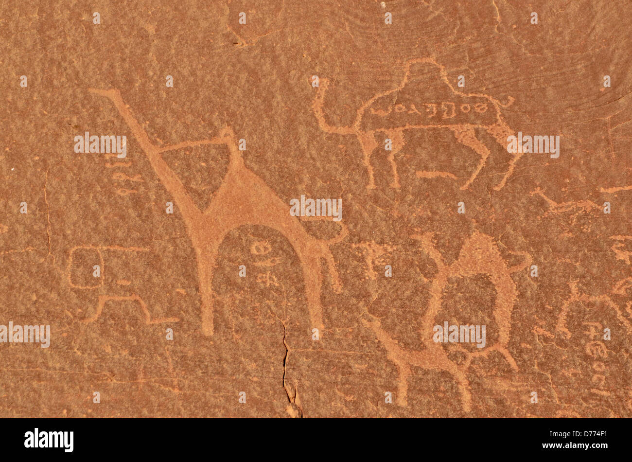 Giordania Wadi Rum riserva il deserto con disegni antichi nelle rocce Foto Stock