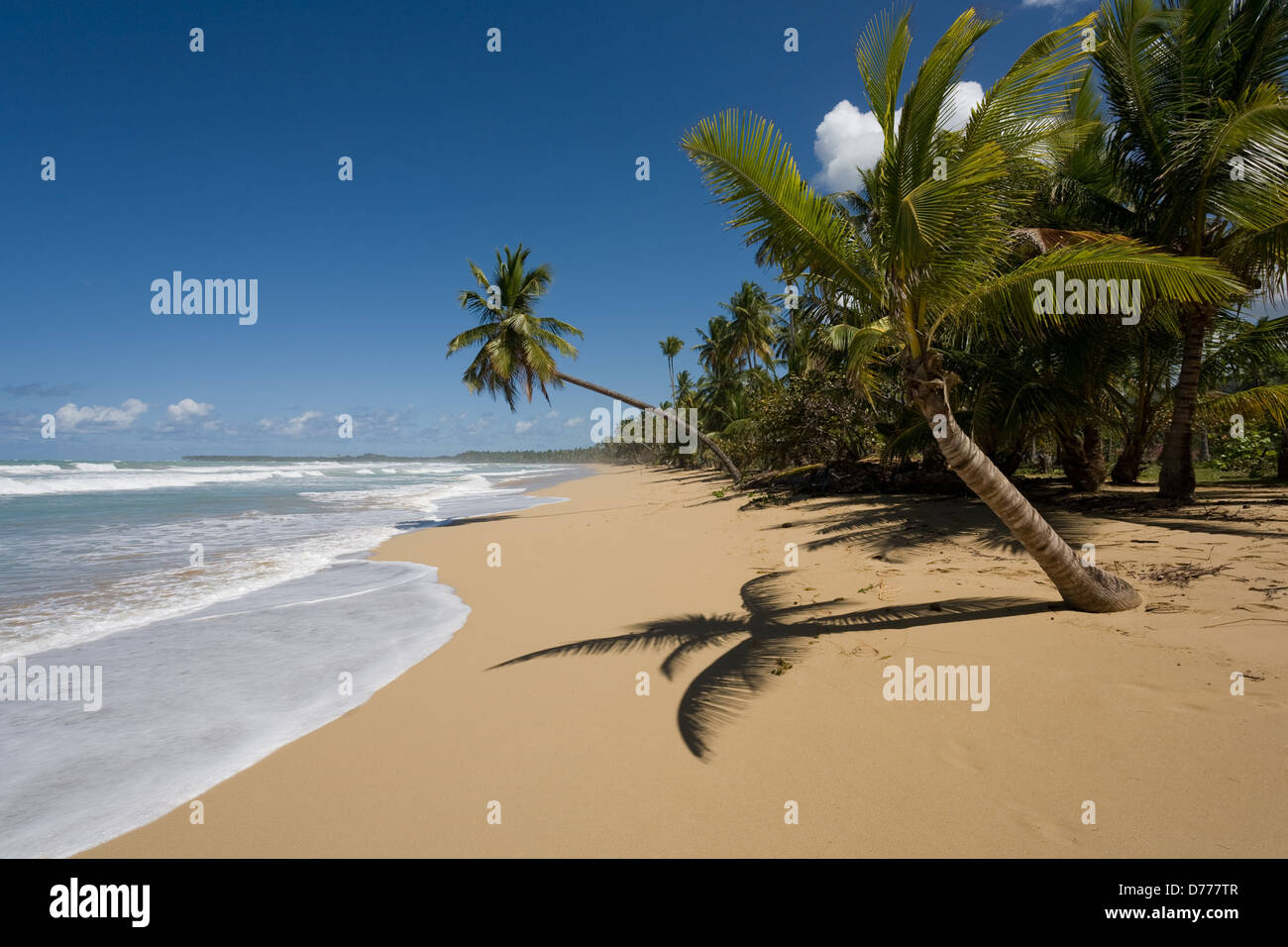 Las Terrenas, Repubblica Dominicana, l'appartata spiaggia di Playa Coson Foto Stock