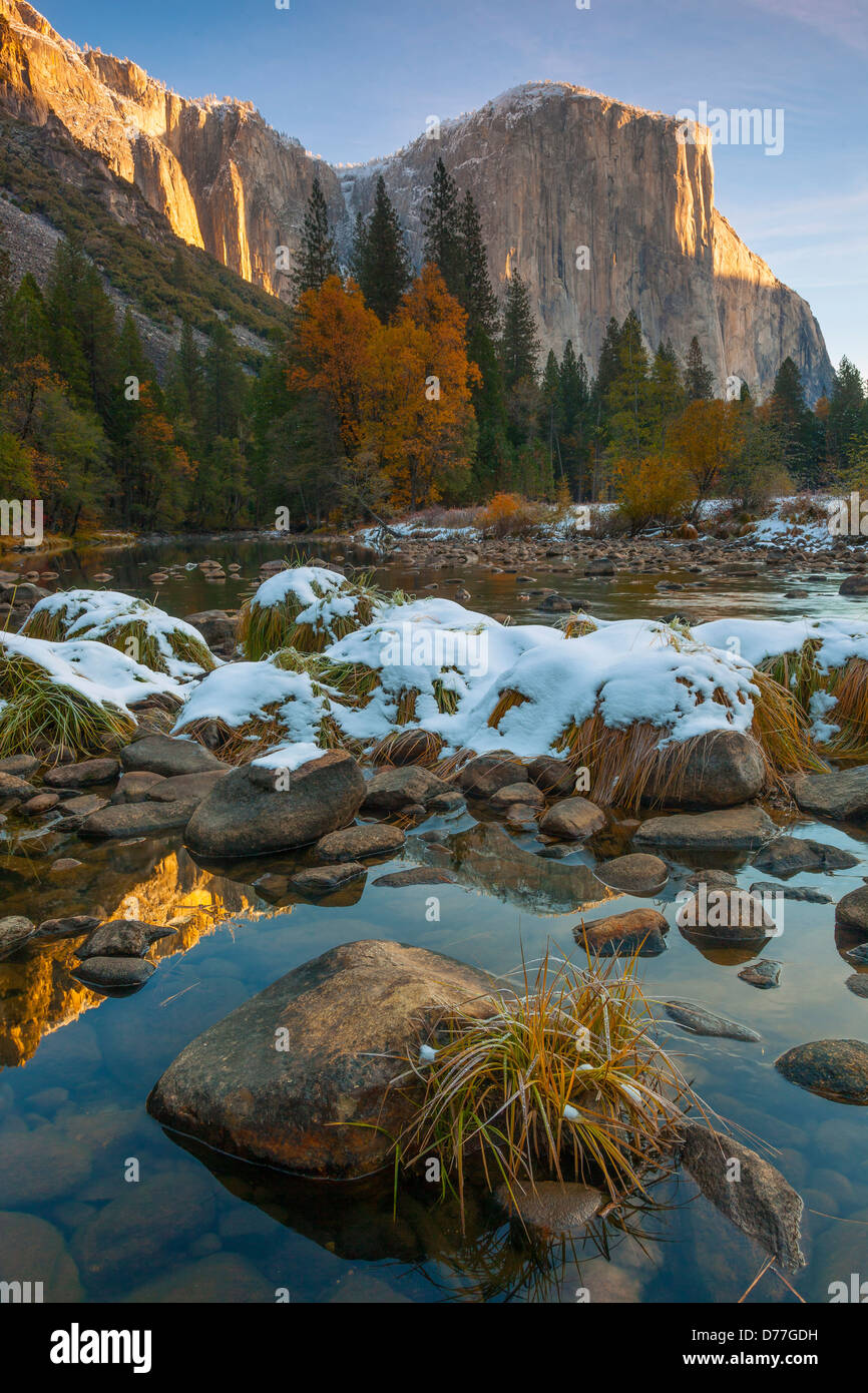 Parco Nazionale di Yosemite, CA: El Capitan (7042 ft) con la luce del mattino sul fiume Merced con la neve Foto Stock
