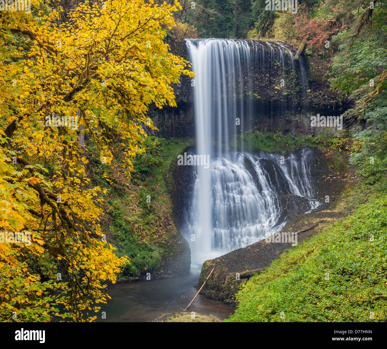 Silver Falls State Park, o: Centro nord scende (106 ft) in argento Creek Canyon in autunno Foto Stock