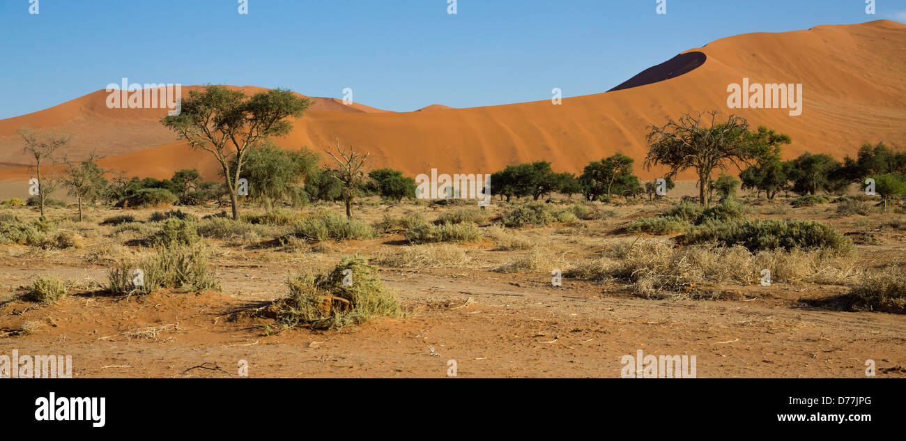 Sossusvlei Duna Rossa Foto Stock