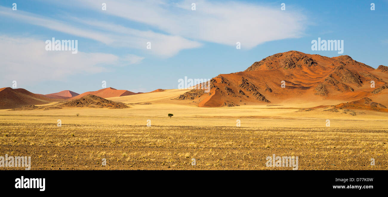 Sossusvlei Duna Rossa Foto Stock