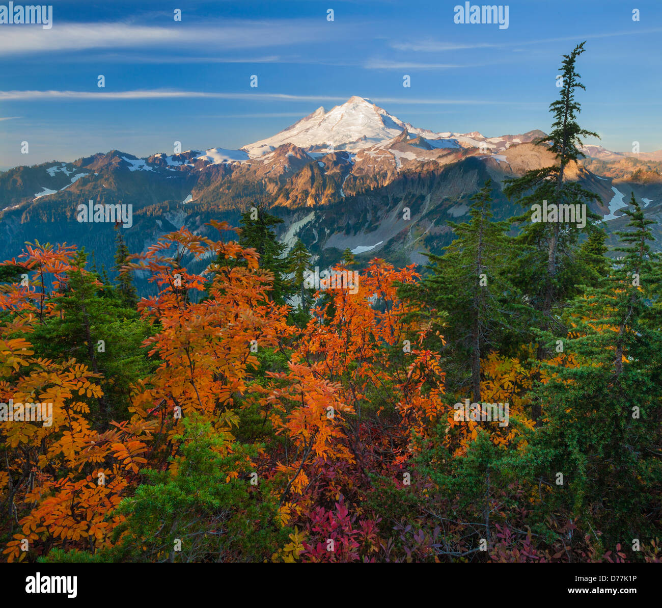 Montare Baker-Snoqualmie National Forest, WA: Mount Baker da artisti Ridge Trail in autunno Foto Stock