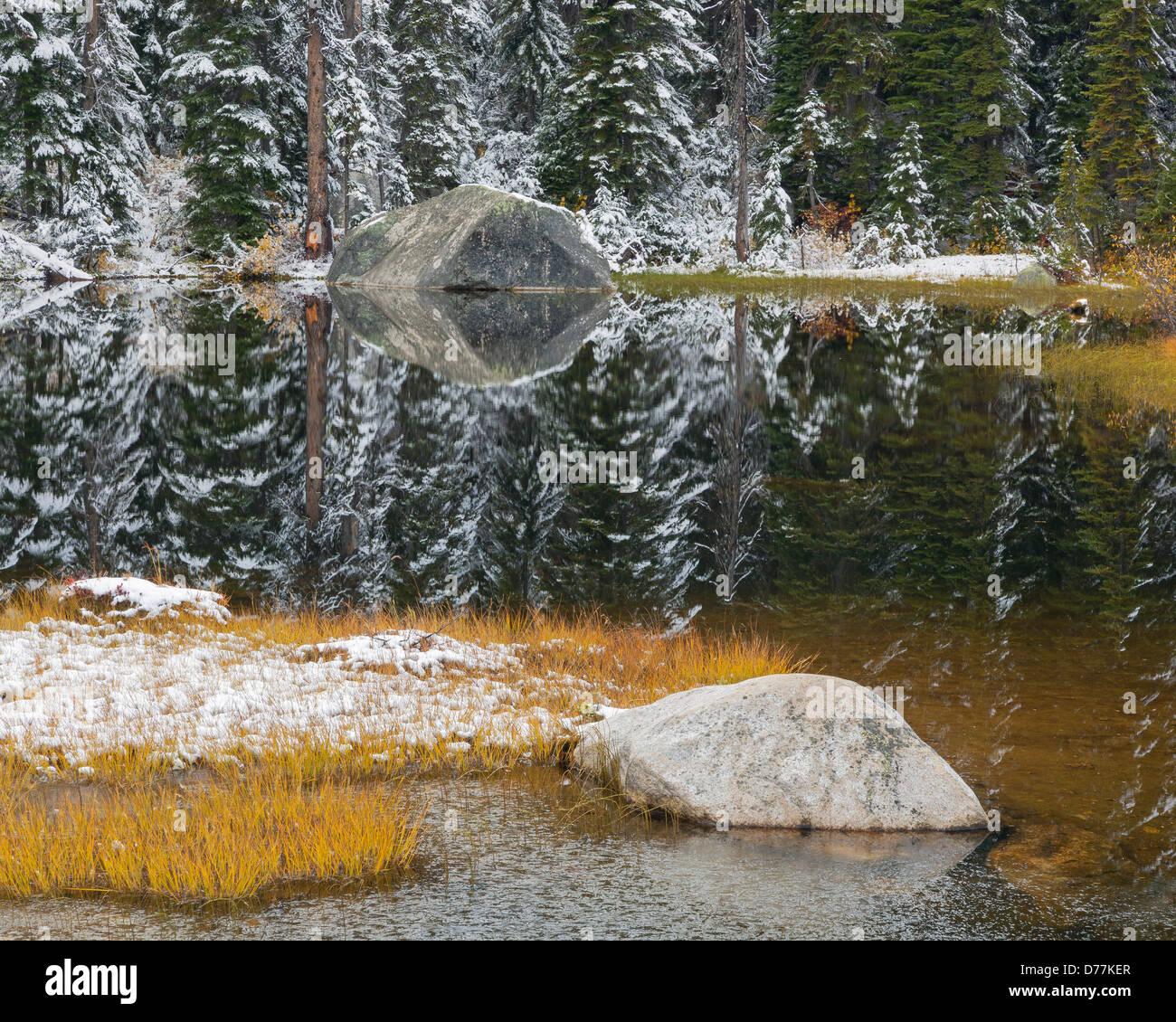 Montare Baker-Snoqualmie National Forest, WA: Un tranquillo laghetto con coperte di neve abete Douglas e cadono erbe colorate Foto Stock
