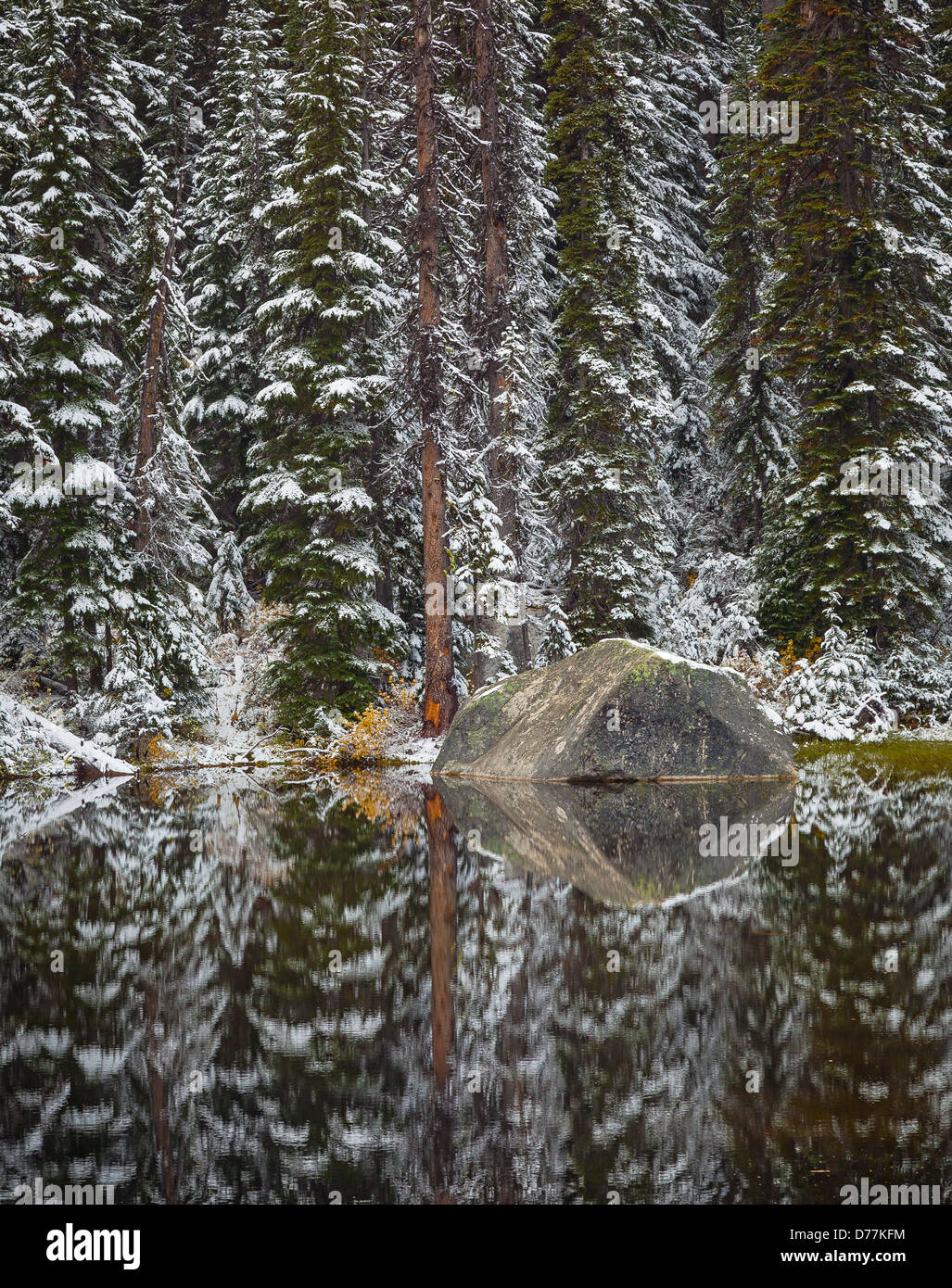 Montare Baker-Snoqualmie National Forest, WA: Un tranquillo laghetto con coperte di neve abete Douglas e boulder Foto Stock