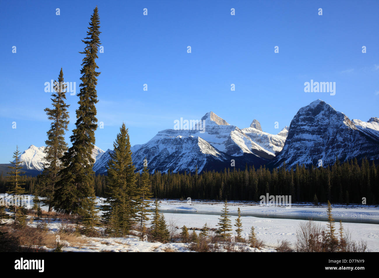 Vista delle Montagne Rocciose nel Parco Nazionale di Jasper (Alberta) Foto Stock