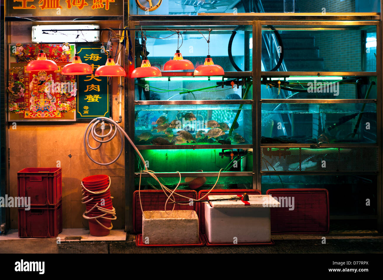 Vasche di pesci e luci al di fuori di un cinese il ristorante di pesce di notte, Macau, Cina Foto Stock