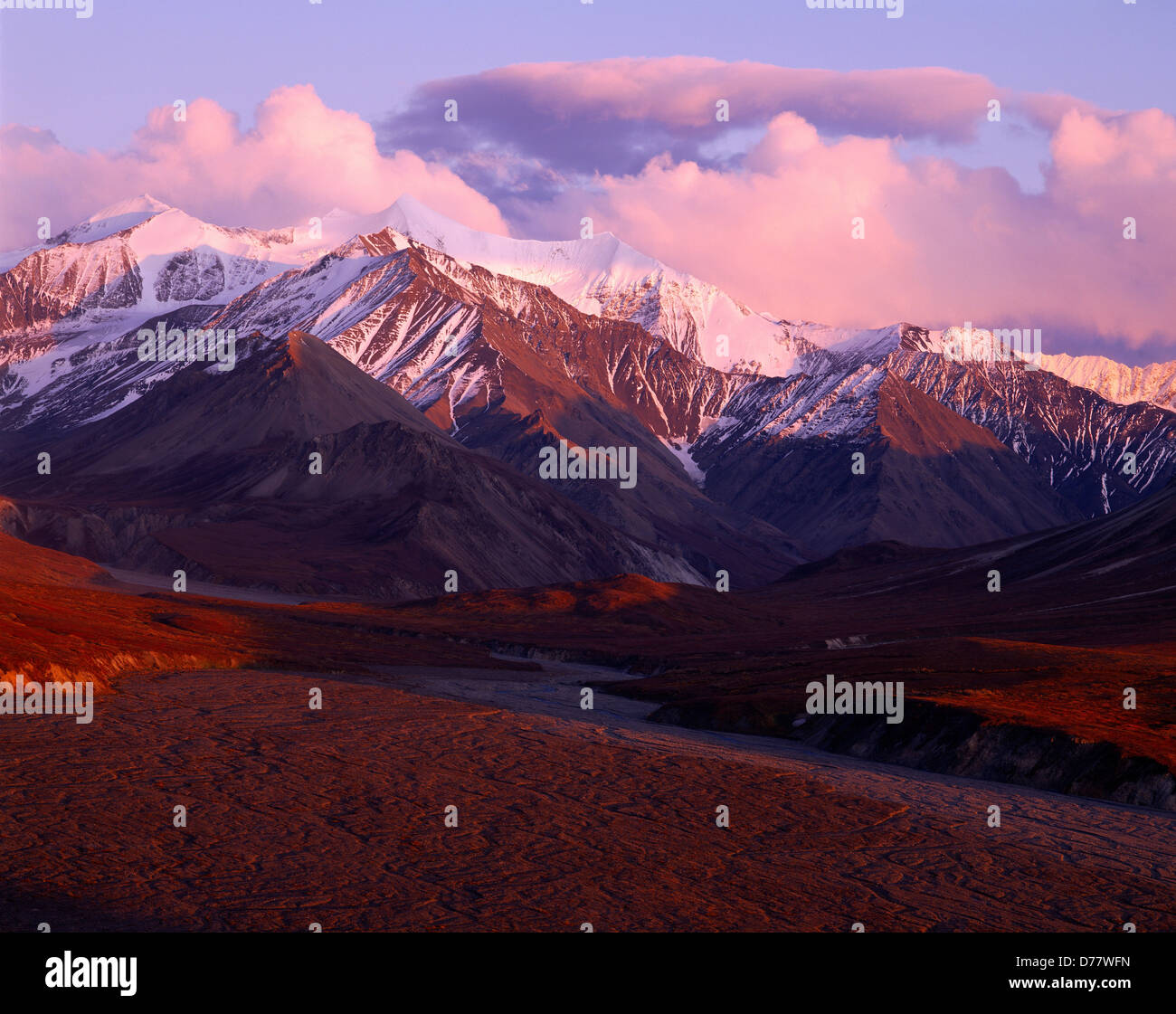 In autunno la luce illuminante canali intrecciato Thorofare Fiume Scott montagne di picco Alaska Range al di là di Denali National Park in Alaska. Foto Stock