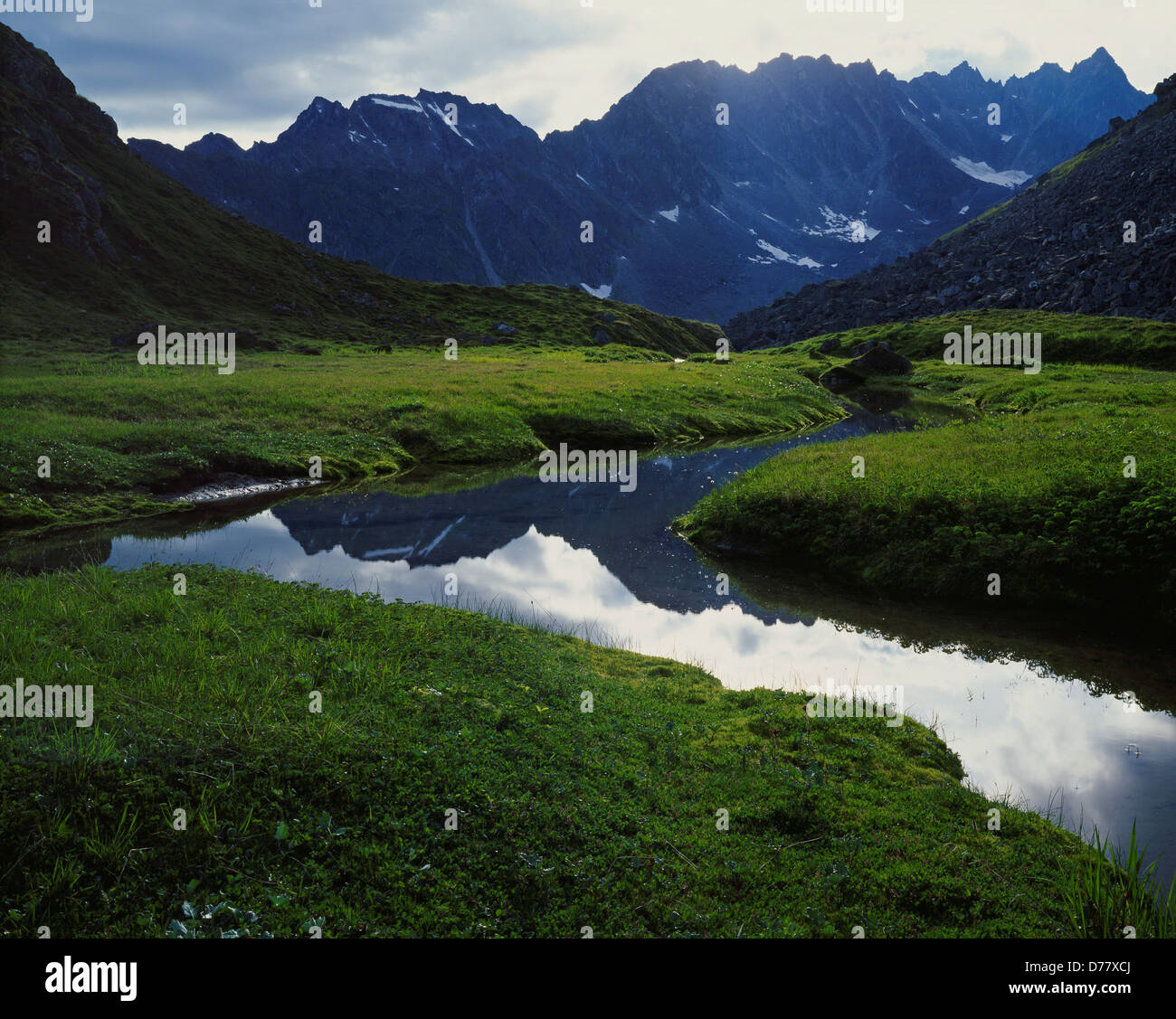 Picchi seghettati Talkeetna montagne vista valle alpina sopra l'Arcangelo Creek Alaska. Foto Stock