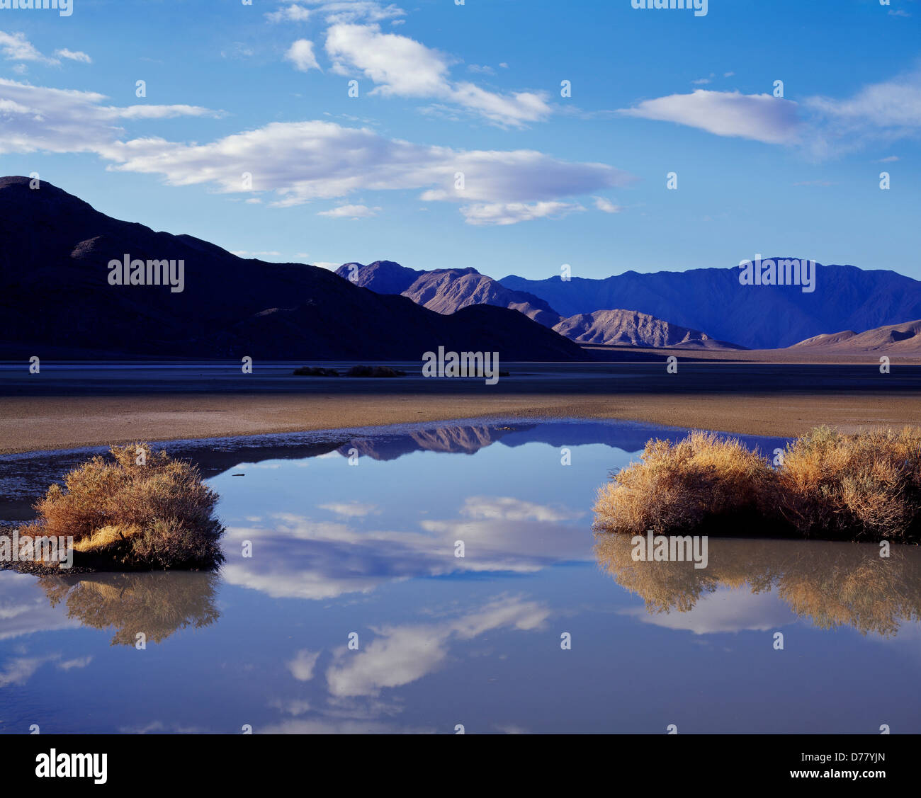 Bordo campo Panamint Nelson Gamma riflesso in acqua stagnante sul Racetrack Playa in seguito a pesanti piogge invernali della Valle della Morte Foto Stock