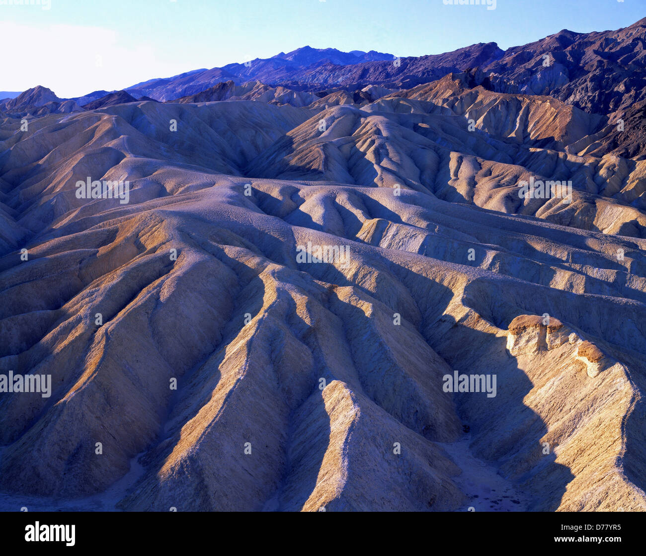 Calanchi creazione badlands Furnace Creek formazione visto nei pressi di Zabriskie Point Black Mountains gamma Amargosa Death Valley Foto Stock