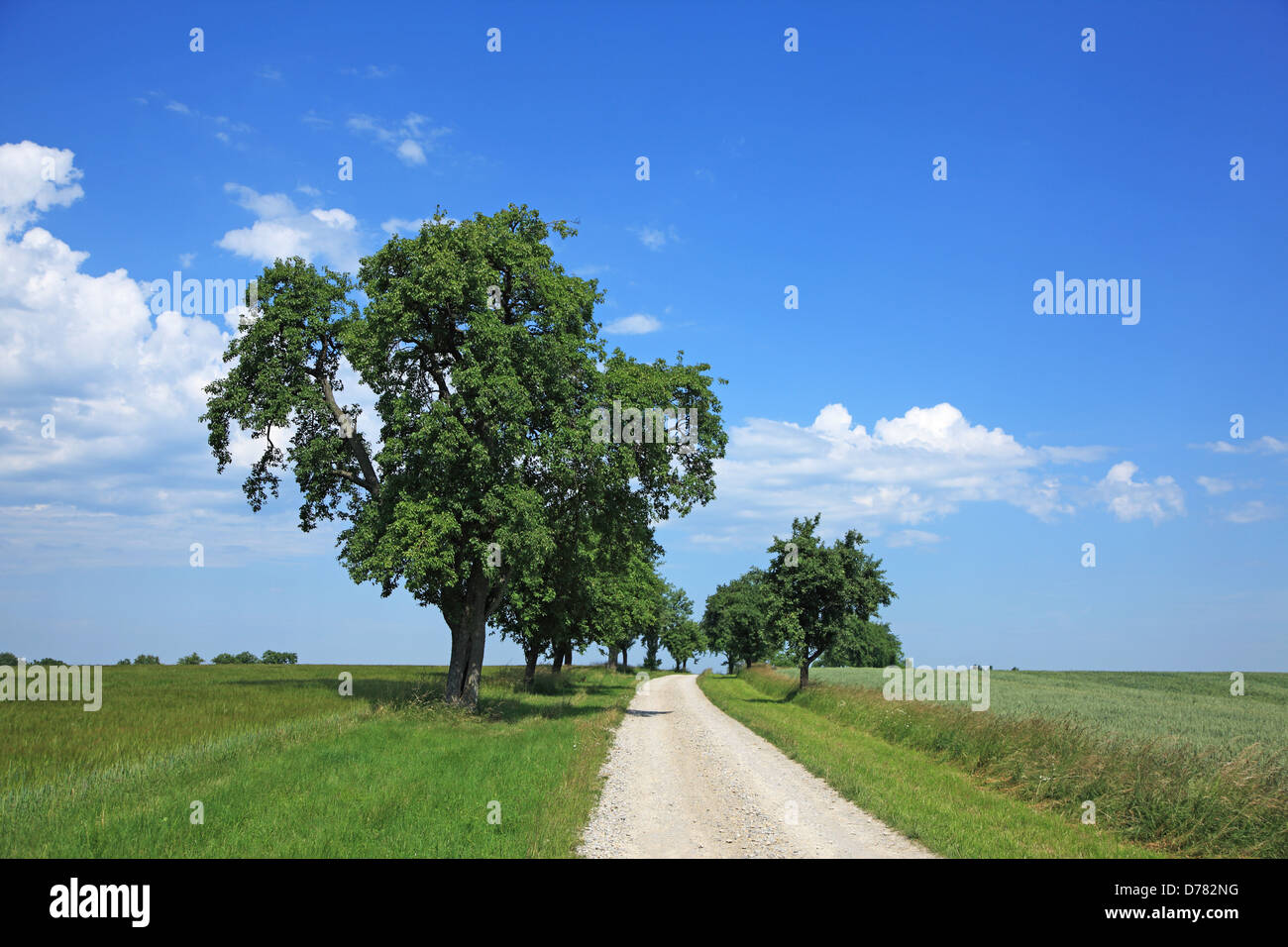 Germania, Baden-Württemberg, Blaufelden Foto Stock