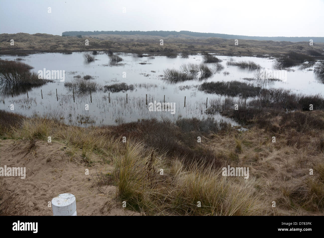 La costa di Sefton zona speciale di conservazione copre 4.500 ettari di spiaggia e dune habitat in cui stagni stagionali forma Foto Stock