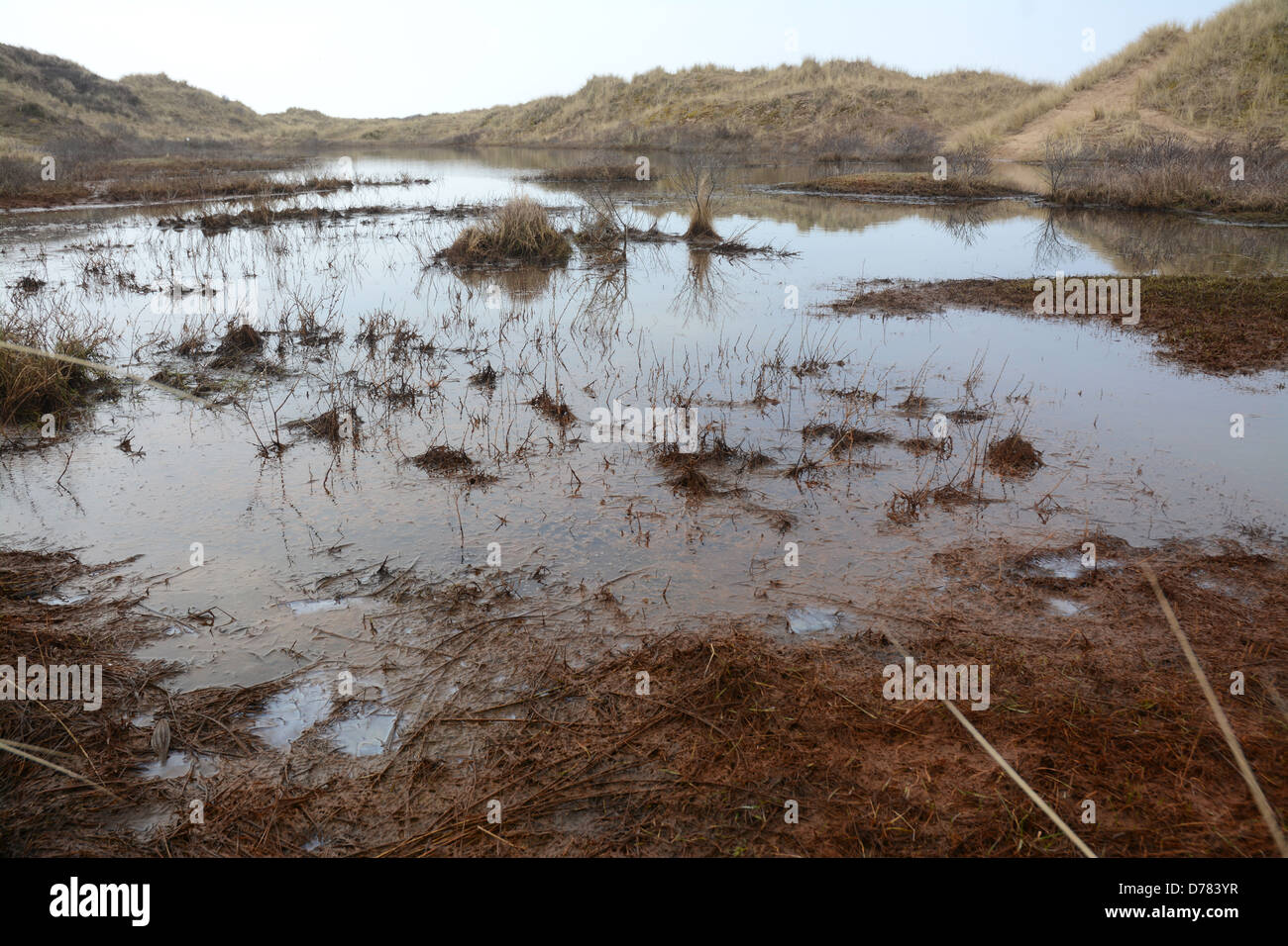 La costa di Sefton zona speciale di conservazione copre 4.500 ettari di spiaggia e dune habitat in cui stagni stagionali forma Foto Stock