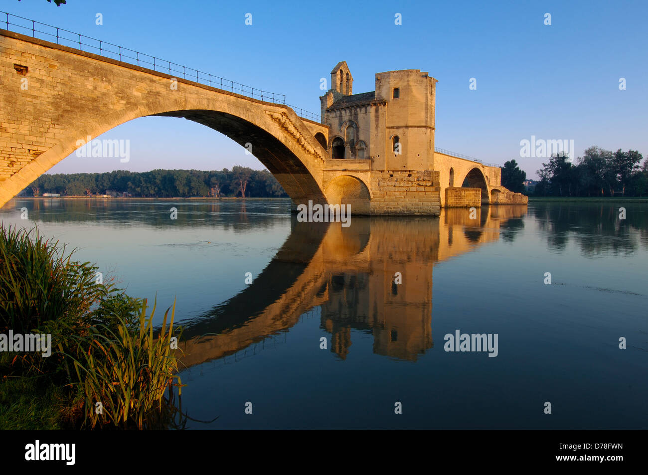 Saint Benezet ponte sul fiume Rodano. Avignon. Vaucluse. Provence-Alpes-Côte d'Azur. La valle del Rodano. Provenza. Francia Foto Stock