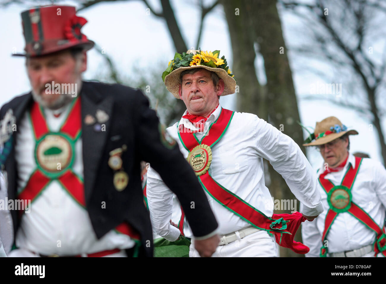 L'anello Chanctonbury Morris uomini benvenuti nella primavera del 1 maggio 2013 sulla cima di un freddo Chanctonbury Hill sulla Sussex South Downs REGNO UNITO Foto Stock