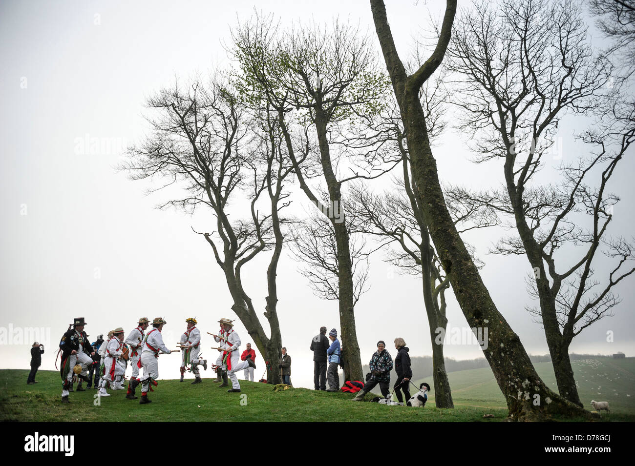 L'anello Chanctonbury Morris uomini benvenuti nella primavera del 1 maggio 2013 sulla cima di un freddo Chanctonbury Hill sulla Sussex South Downs REGNO UNITO Foto Stock