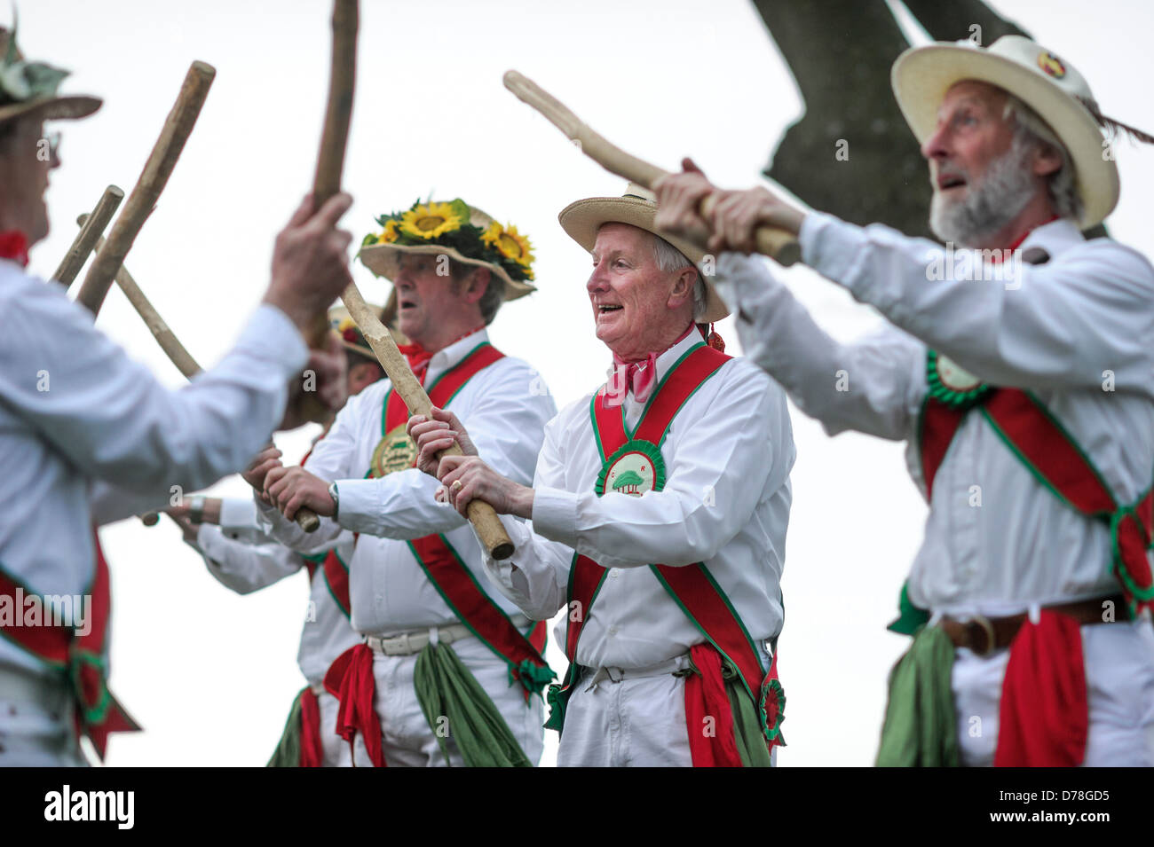 L'anello Chanctonbury Morris uomini benvenuti nella primavera del 1 maggio 2013 sulla cima di un freddo Chanctonbury Hill sulla Sussex South Downs REGNO UNITO Foto Stock