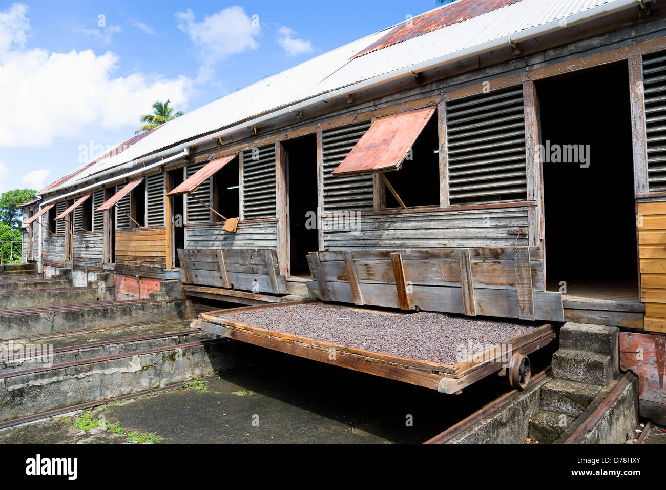 Caraibi, West Indies, Dougaldston Estate plantation, Grenada fave di cacao, essiccamento in sun su rack a scomparsa sotto capannoni di essiccazione Foto Stock