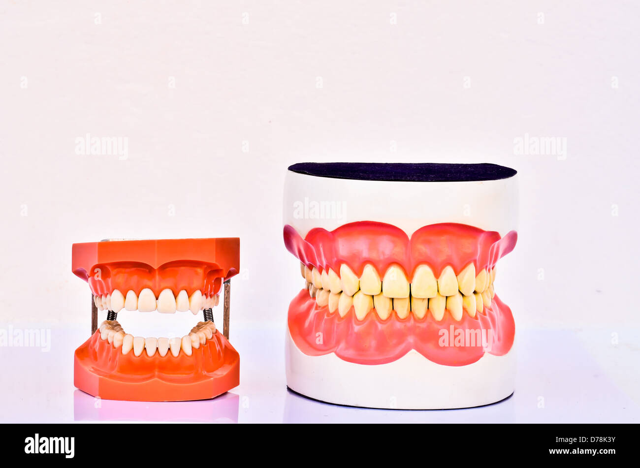Una coppia di plastica denti umani modelli Foto Stock