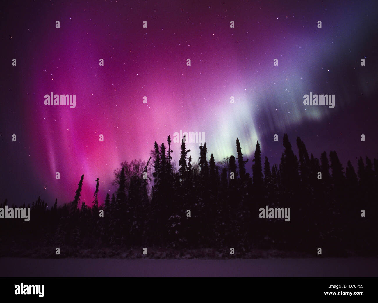 Rosso porpora verde sopra Aurora East Papoose lago durante la notte 14 dicembre 2006 inferiore Valle Susitna Alaska. Foto Stock