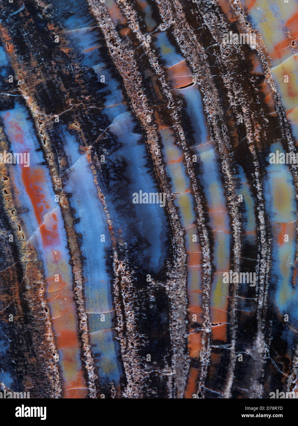 Lastra lucidato legno pietrificato Chinle formazione vicino Holbrook Arizona. Foto Stock