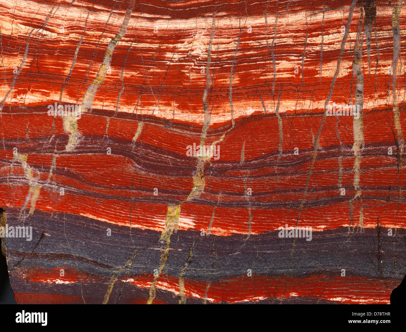 Snakeskin Jasper bande slab diaspro rosso grigio scuro ematite il taglio trasversale di vene di quarzo di circa 2,5 miliardi di euro-anno-vecchio Weeli Foto Stock