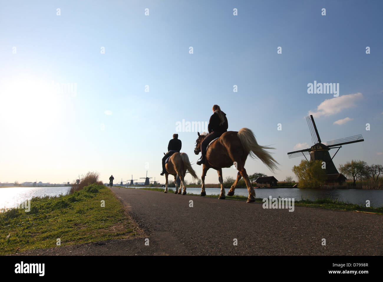 I Paesi Bassi, South Holland, Kinderdijk, Olandese, mulini a vento, mulino a vento Foto Stock