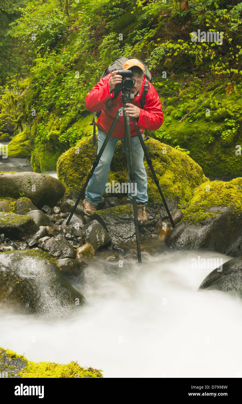 Il fotografo Steve Shuey, fotografando Elowah cade, Columbia River Gorge, Oregon, APRILE Foto Stock