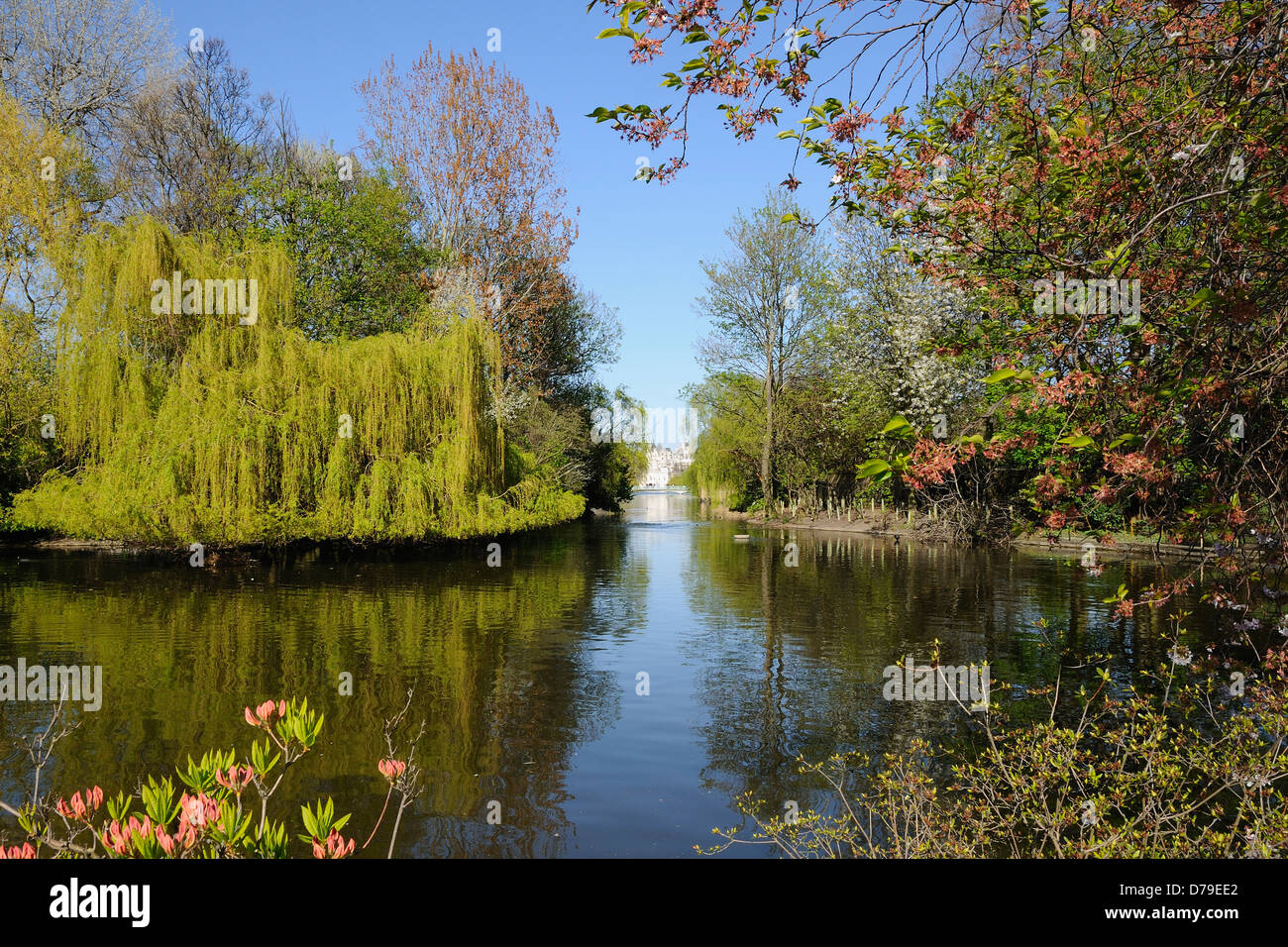 Lake in St James's Park, Londra, Regno Unito, in primavera Foto Stock