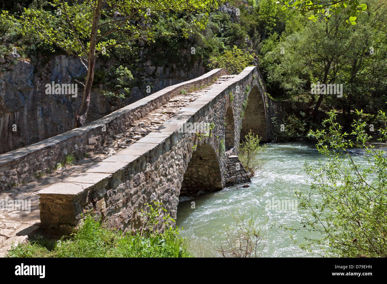 Portitsa gorge e il vecchio ponte in pietra a Epiro, Grecia Foto Stock