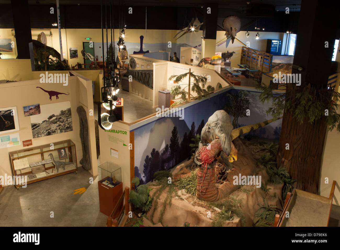Vista del dinosauro Museo viaggio interiore animata che mostra dinosauri replica, fruita, CO. Foto Stock