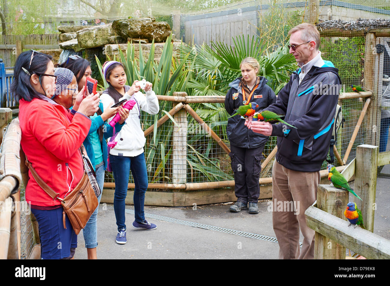 Persone alimentazione di nettare per captive Parrocchetti a Chessington World of Adventures Surrey UK Foto Stock