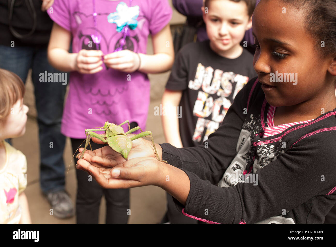 I bambini sono entusiasti di vedere un gigante di bug al Magic Wings Conservatory della Farfalla & giardini a Deerfield, Massachusetts. Foto Stock