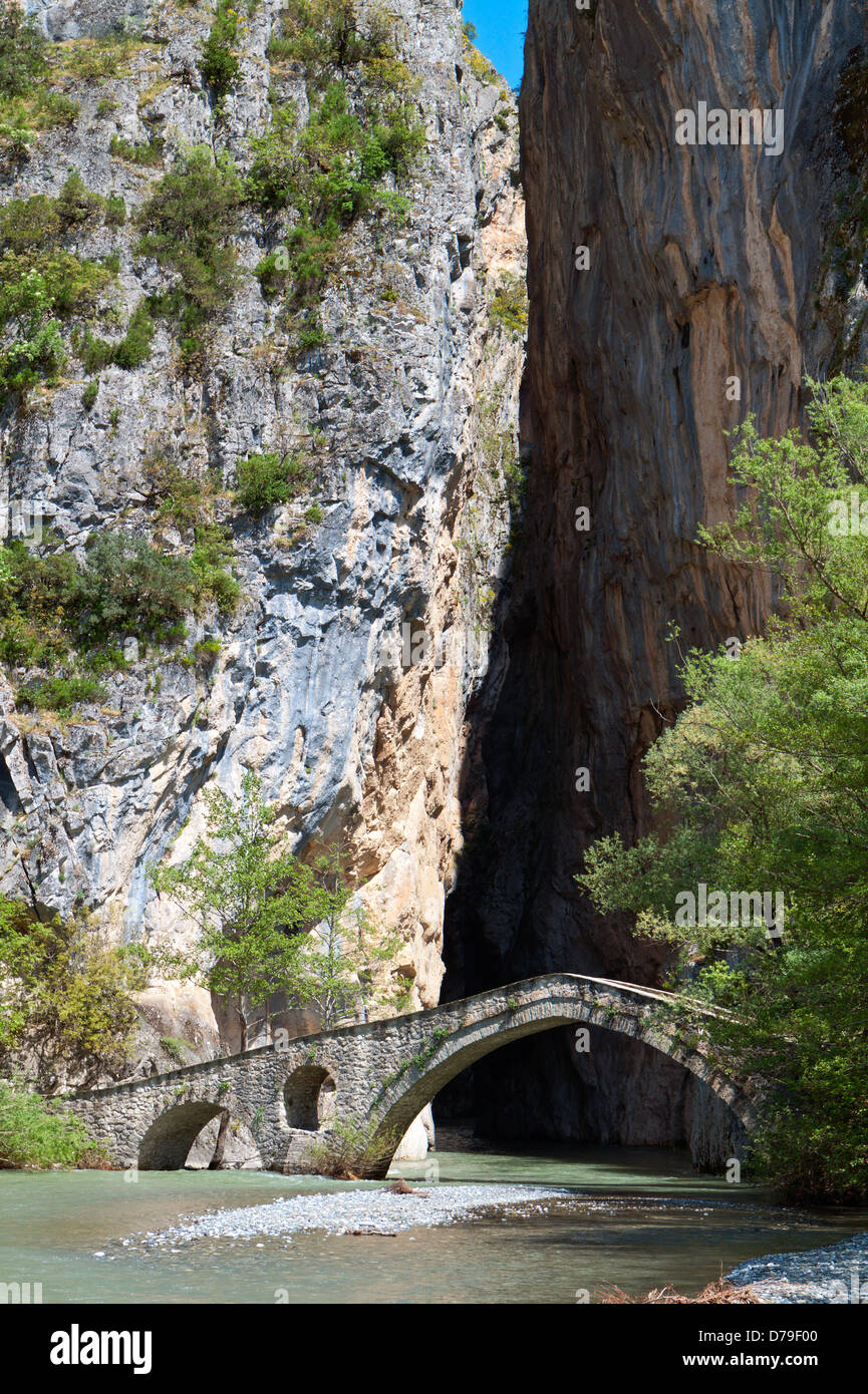 Portitsa gorge e il vecchio ponte in pietra a Epiro, Grecia Foto Stock