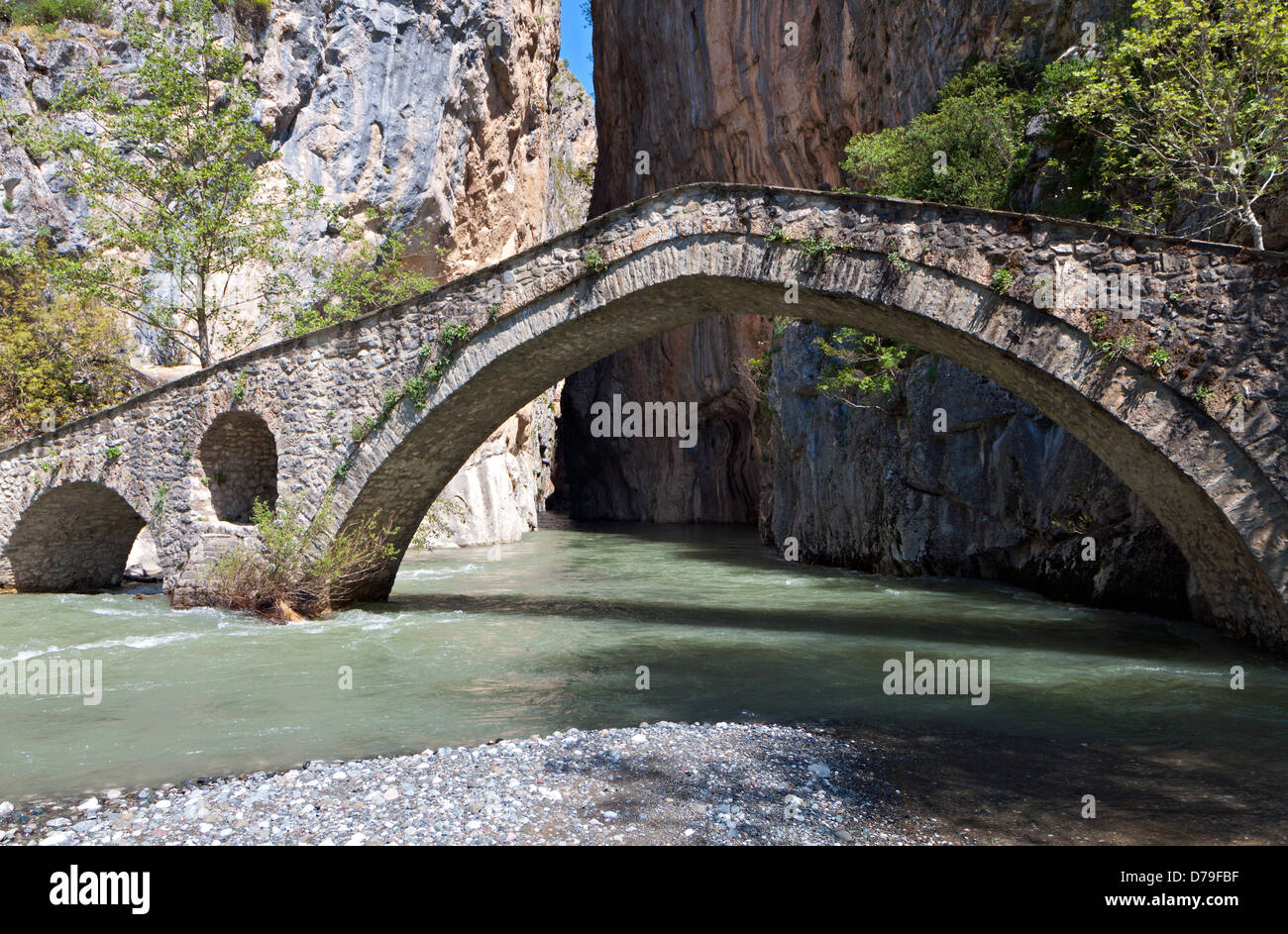 Portitsa gorge e il vecchio ponte in pietra a Epiro, Grecia Foto Stock