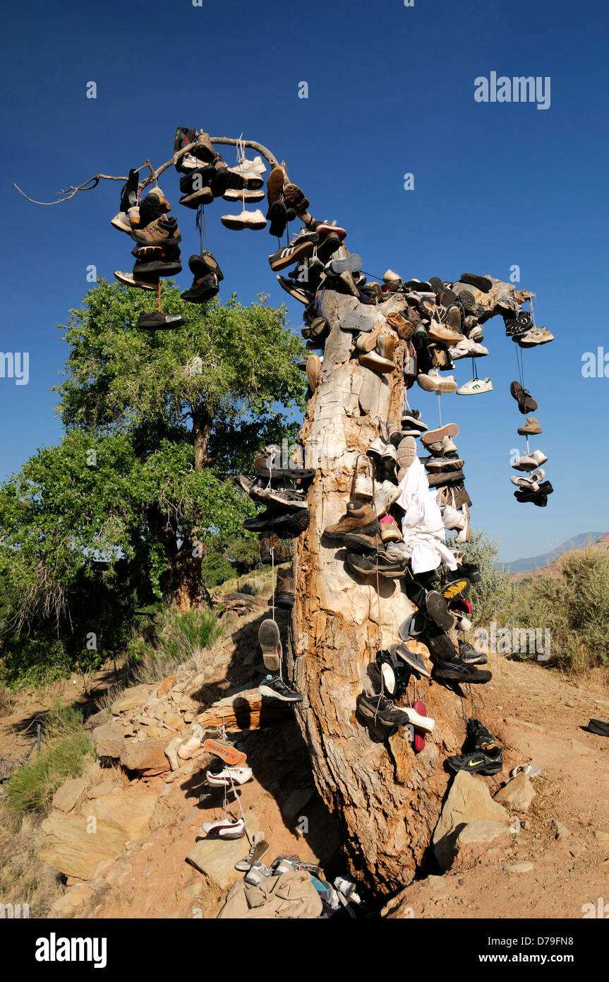 Centinaia di scarpe stivali guide appendere appeso da albero morti calzatura marcatore cimitero commemorare mark sito vergine Utah calzatura tree Foto Stock