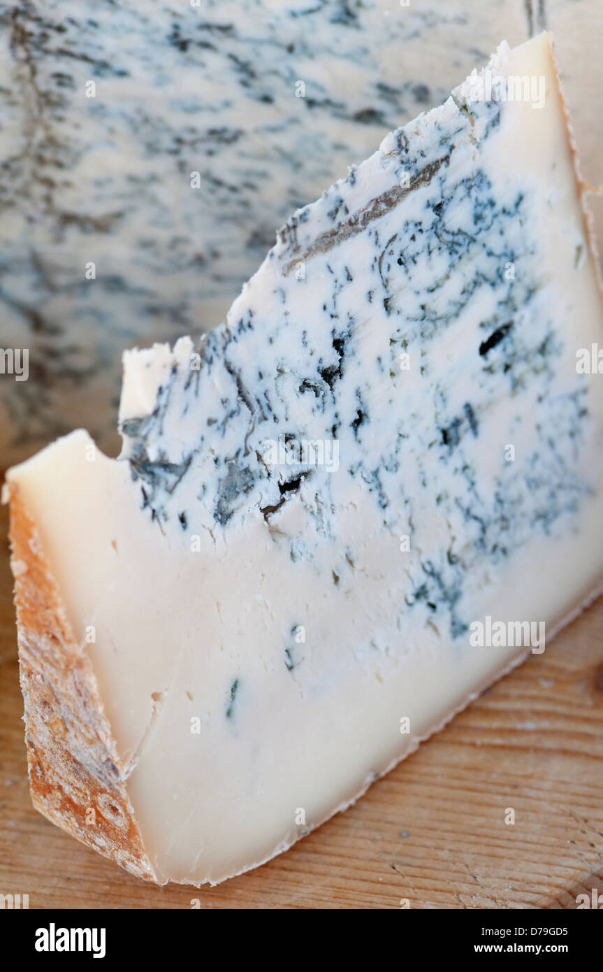 L'Italia, Lombardia, Valsassina Valley, il latte di capra formaggio blu Foto Stock