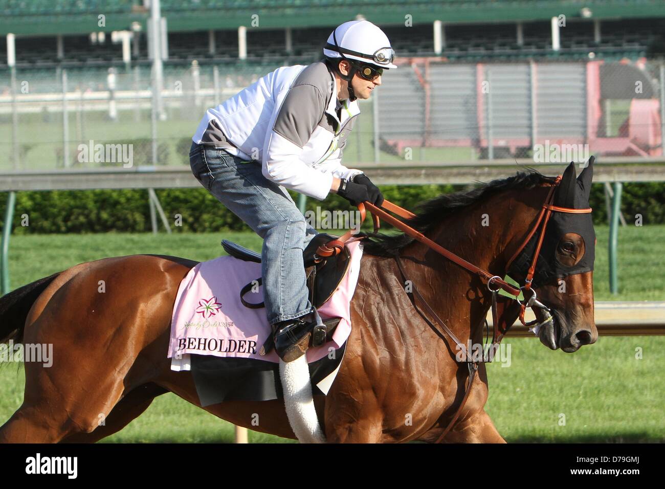 Louisville, Kentucky, Stati Uniti d'America. Il 1 maggio 2013. Allenamenti mattina - Kentucky Oaks Contender Beholder (immagine di credito: credito: Sue Kawczynski/eclipse/ZUMAPRESS.com/Alamy Live News) Foto Stock